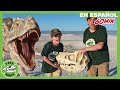 Huida divertida con dinosaurios Juguetes para niños | T-Rex Rancho | Moonbug Kids Parque de Juegos