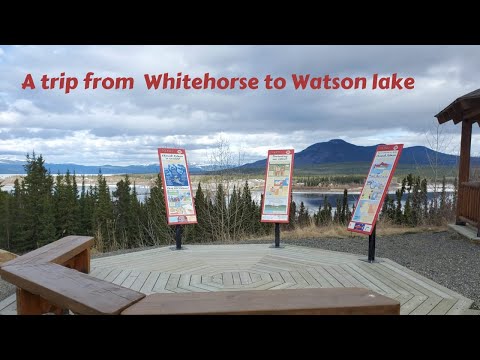 A trip from Whitehorse to Watson Lake , Yukon , Canada
