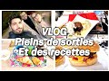 Vlog 26  vlog avec nous sorties blabla soires recette cake jambon olive
