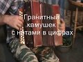 Гранитный камушек с нотами в цифрах