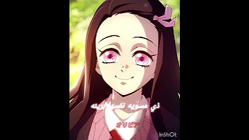 كله عامل فيها مستر بومباستك 