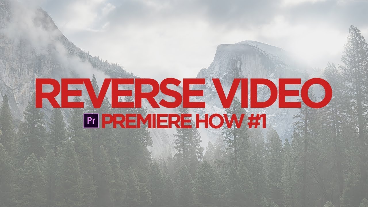 How To REVERSE VIDEO In Adobe Premiere Pro - Premiere How Ep1 - YouTube