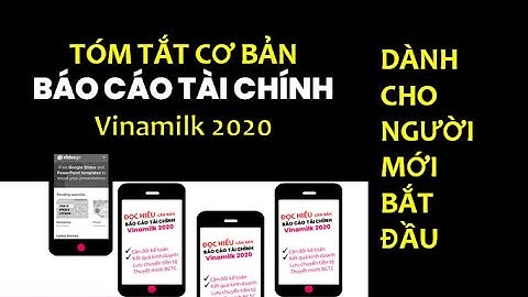 Báo cáo tài chính kiểm toán vinamilk 2023 năm 2024