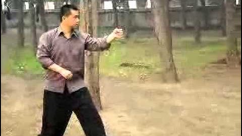 Wu Xing Quan (五行拳), Song Style Xingyi Quan (宋氏形意拳), Pei Jiangtao (裴江涛)