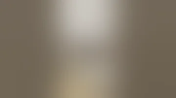 Bed Flip 