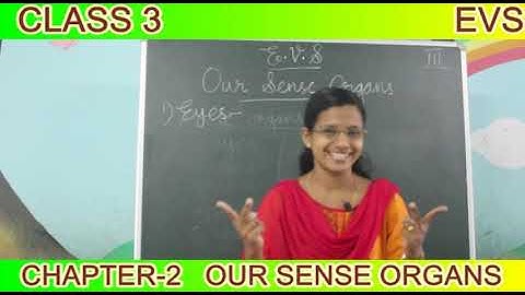 Class 3, EVS Chapter-2  Our Sense organs part-1