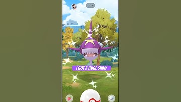 💯Hundo & 4 ✨Shiny Sharpedo on Mega Sharpedo Raid Day #pokemongo #shinypokemon