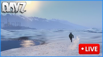 DayZ LIVE | 1440p | Nitno 291