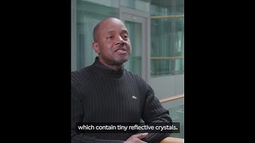 How do chameleons change colour? | Surprising Science #shorts #chameleon