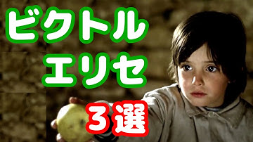 誰にも教えたくない名作 ビクトル・エリセ 3選【ミツバチのささやき、エル・スール、マルメロの陽光】【おすすめ映画紹介】