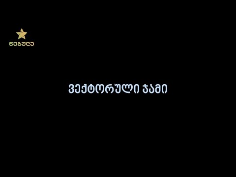 1.2. ვექტორული ჯამი