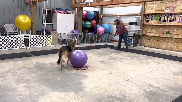 Tracy Gorham Nate skills level 1 send