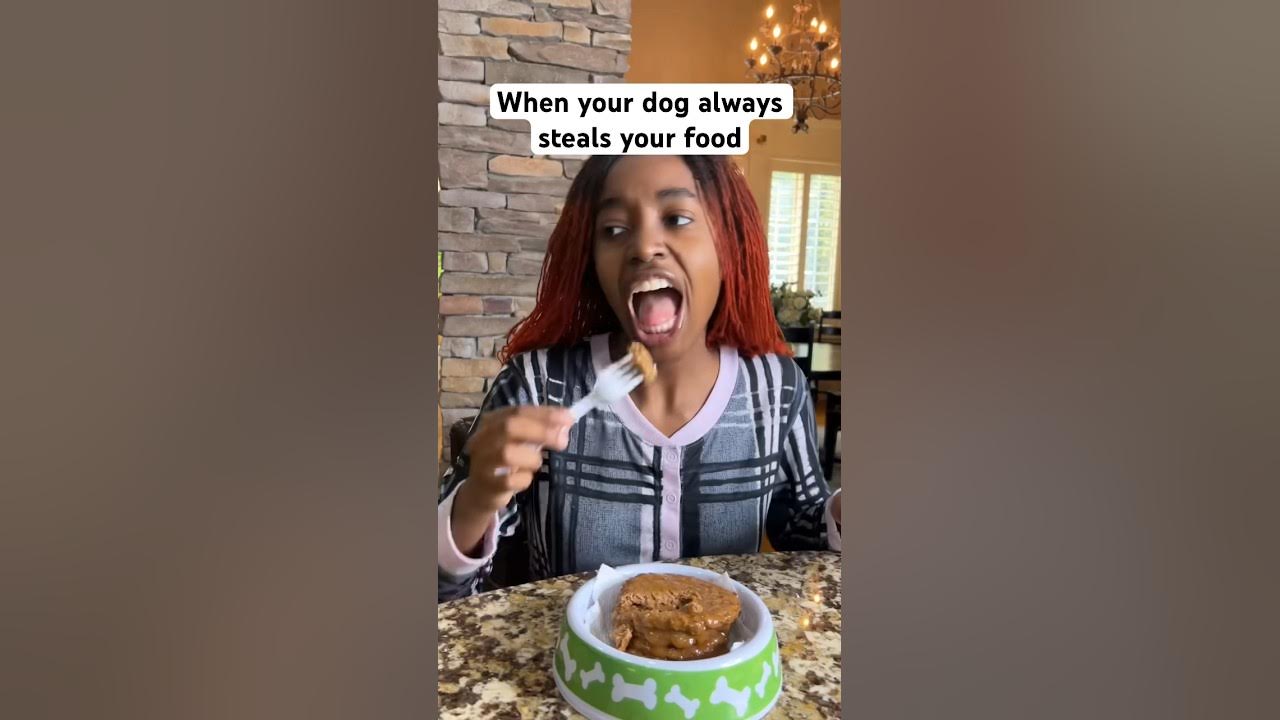 she-ate-dog-food-youtube