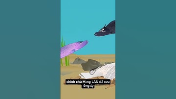 Câu cá khổng lồ P38 ( Đối thủ) | Giant Fishing P38 (Rival) #cauca #fish #discovery #giant #funy