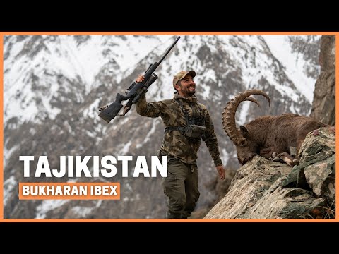 Brutal Bukharan Ibex hunt in the mountains of Tajikistan!