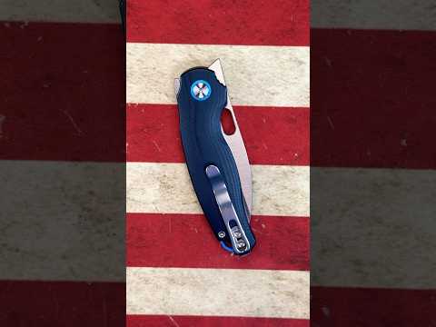 Kizer Seagull.