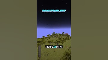 Where to build your base on the Donut SMP #donutsmp