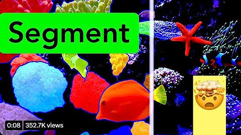 SAM Segment Anything: Meta
