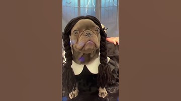 Thumbnail of Wednesday Addams Dance - Lady Gaga Bloody Mary Sped up TikTok Remix (I'll dance dance dance)