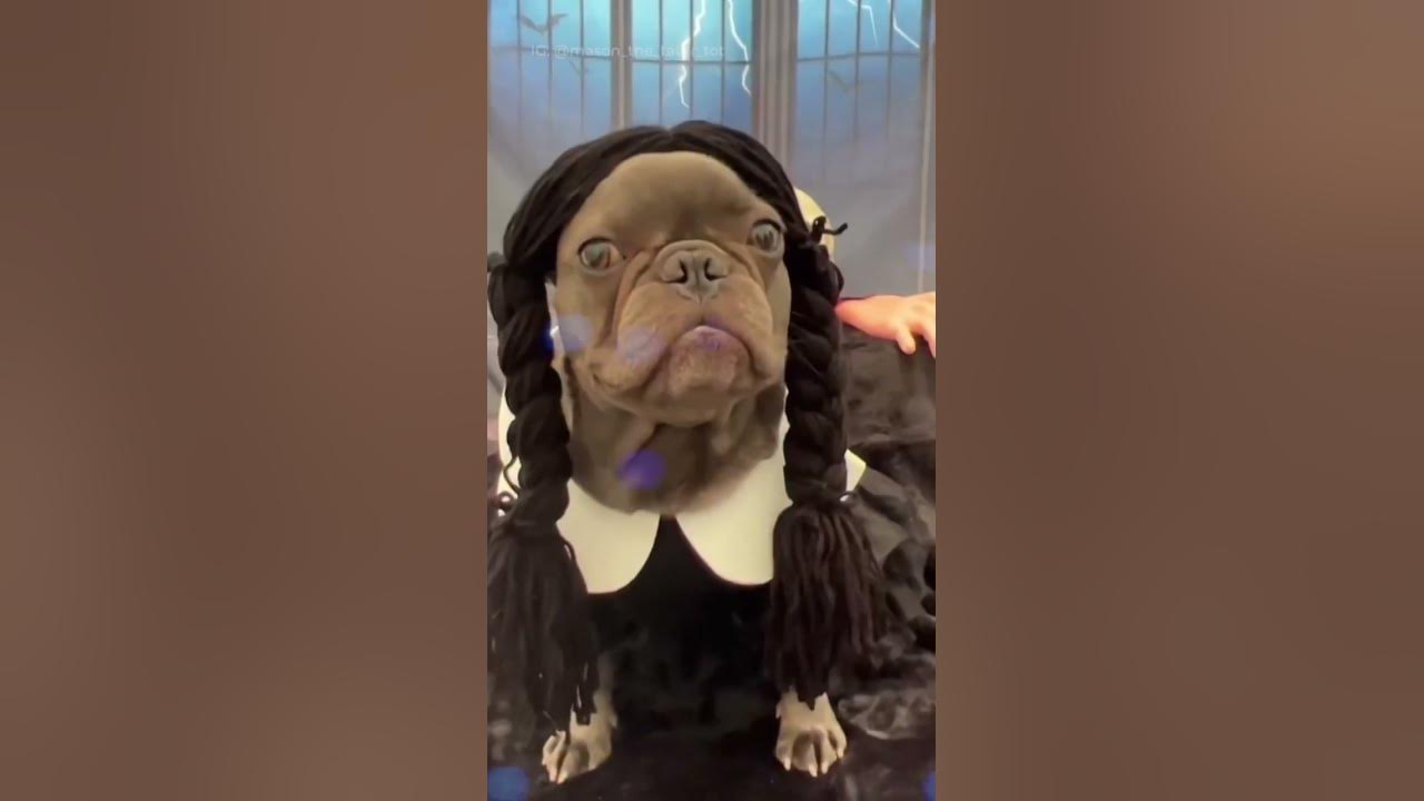 Wednesday Addams Dance - Lady Gaga Bloody Mary Sped up TikTok Remix (I'll dance dance dance)