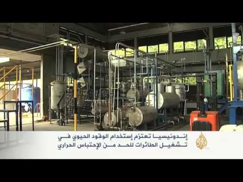 إندونيسيا تعتزم استخدام الوقود الحيوي