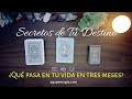 🗝️🍀 Secretos de tu Destino a tres meses ⚡🗞️ TAROT INTERACTIVO