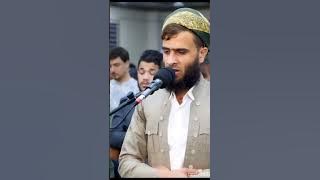 Inspirational Qur'an Recitation: Sh.Muhammad Rizgar Kurdy's Rendering of Surah Al-Fath's last Verse.