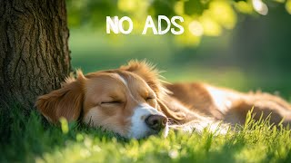 Sleep Instantly Within 2 Minutes 🌙 Insomnia Healing, Relaxing Music For Stress Relief, Anxiety