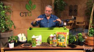 Grow food in containers |John Dromgoole |Central Texas Gardener