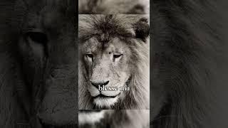 Blesse Moi Je Laisserai Le Karma Faire Son Boulot