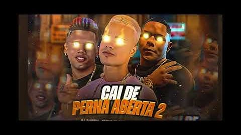 Thumbnail of TROVÃO NO BEAT - GORDINHO BOLADO - MC DANINHO - CAI DE PERNA ABERTA 2 (vai rolar uma festinha )