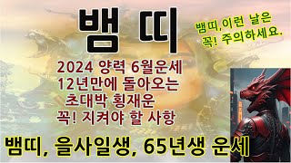 뱀띠65년생2024년양력6월운세/을사생갑진년운세/뱀띠평생사주/53년/77년/89년/01년/뱀띠로또평생번호/뱀…