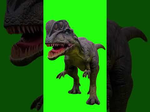Dinosaur Green Screen Animation Video Jurassic Park 