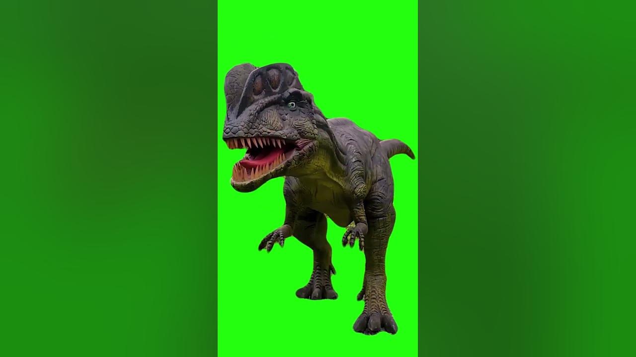 Animated Tyrannosaurus Rex Dinosaur Running Loop - Download Free