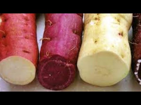 Video: Ali ima sladki krompir beljakovine?
