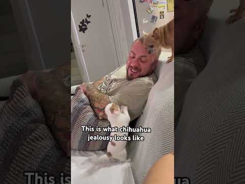 Hilda Can T Handle Anyone Else Getting Love Dog