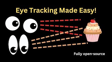 How I Easily Made Eye Tracking Videos with Open Source Tools