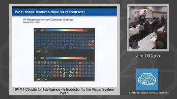 6/4/14 Circuits for Intelligence - Jim DiCarlo: Introduction to the Visual System, Part 1