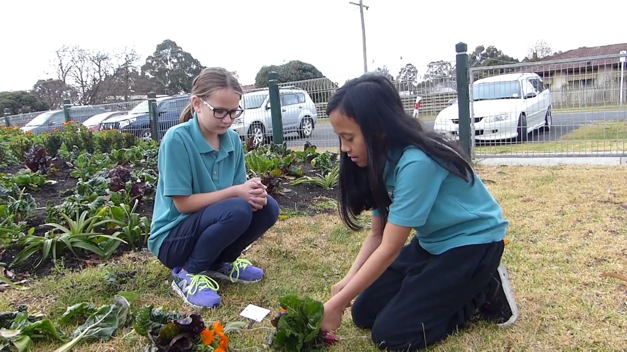 Toongabbie Primary School entry Resource Smart School 31 July 2017