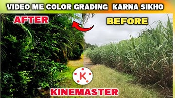 Colour Grading without Filter || Kinemaster Colour Grading Video Editing || @JsrkaLonda