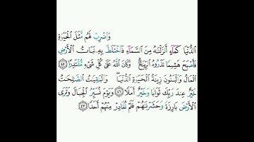 18 - سورة الكهف ٤٥-٤٧ - عبدالرحمن السديس