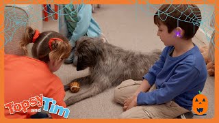 Topsy et Tim en Français | Journée de jeu | WildBrain Enfants | Compilation d&#39;Épisodes
