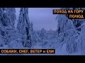 Поход на гору Полюд (Полюдов камень) (Красновишерский р-н)