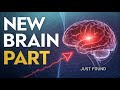 A New Part of the Brain Was Just Found — And It Changes Everything
