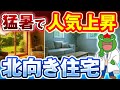 夏の猛暑で北向き住宅の人気上昇!北向きリビングの傾向と間取りの注意点をプロが分かりやすく解説します【注文住宅】