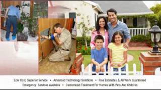 Antac Pest Control - San Diego, CA