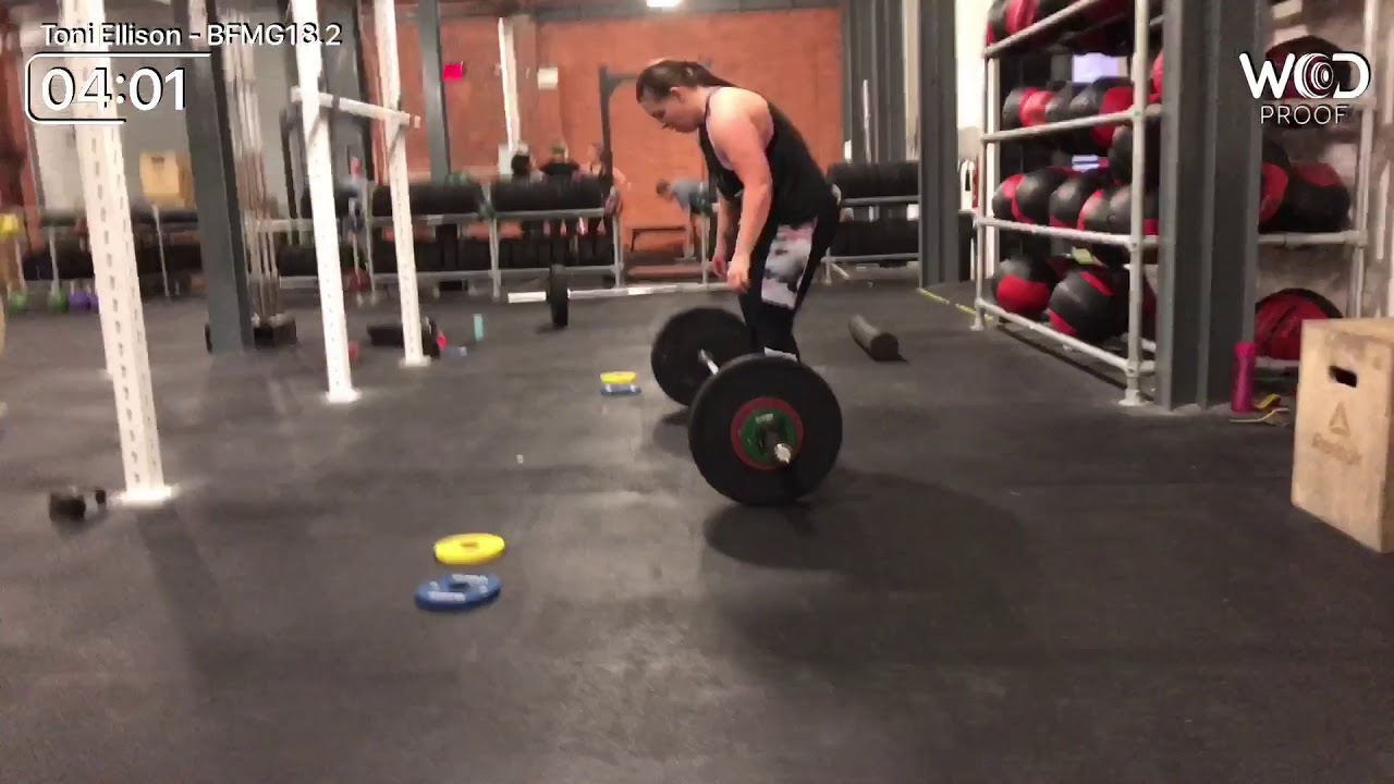 Toni Ellison Battle for Middleground 18.2