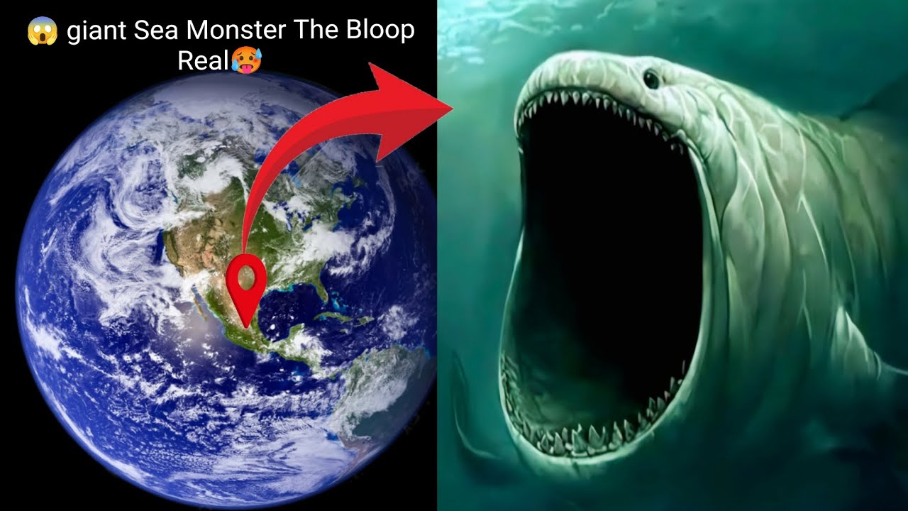 😱Giant Sea Monster The Bloop Real🥵google map&google earth🌍# ...
