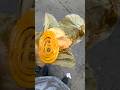 I Tried Famous Kachori | #shorts #food #yt