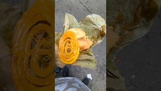 I Tried Famous Kachori | #shorts #food #yt